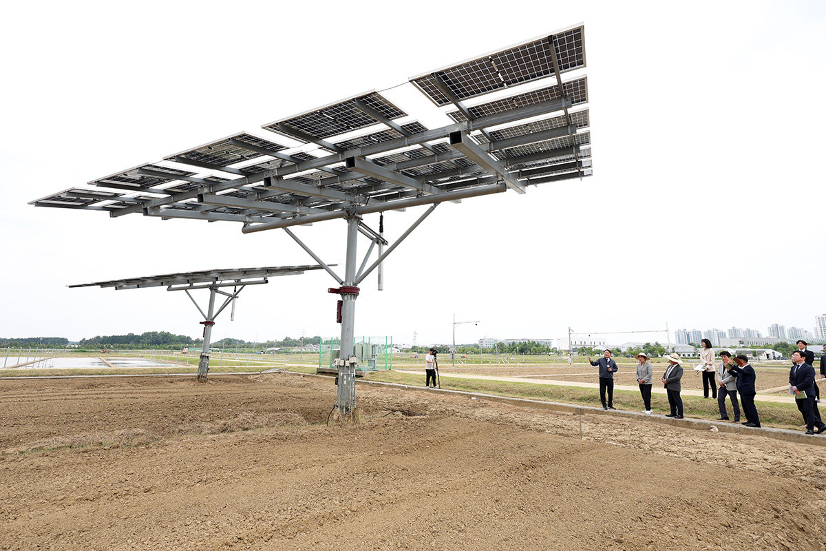 Renewable energy push risks outpacing practical constraints