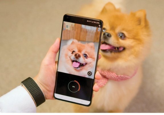 사람 '지문' 같은 강아지 '코 무늬', AI로 완벽하게 찍는다 - 뉴스 썸네일 이미지