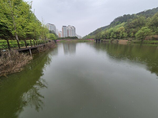 Tragic Discovery: New child Child Present in Reservoir in Sejong Metropolis – Police Investigation Underway