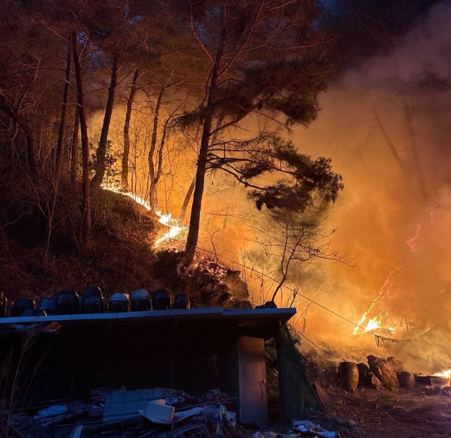 동아일보 속보 이미지