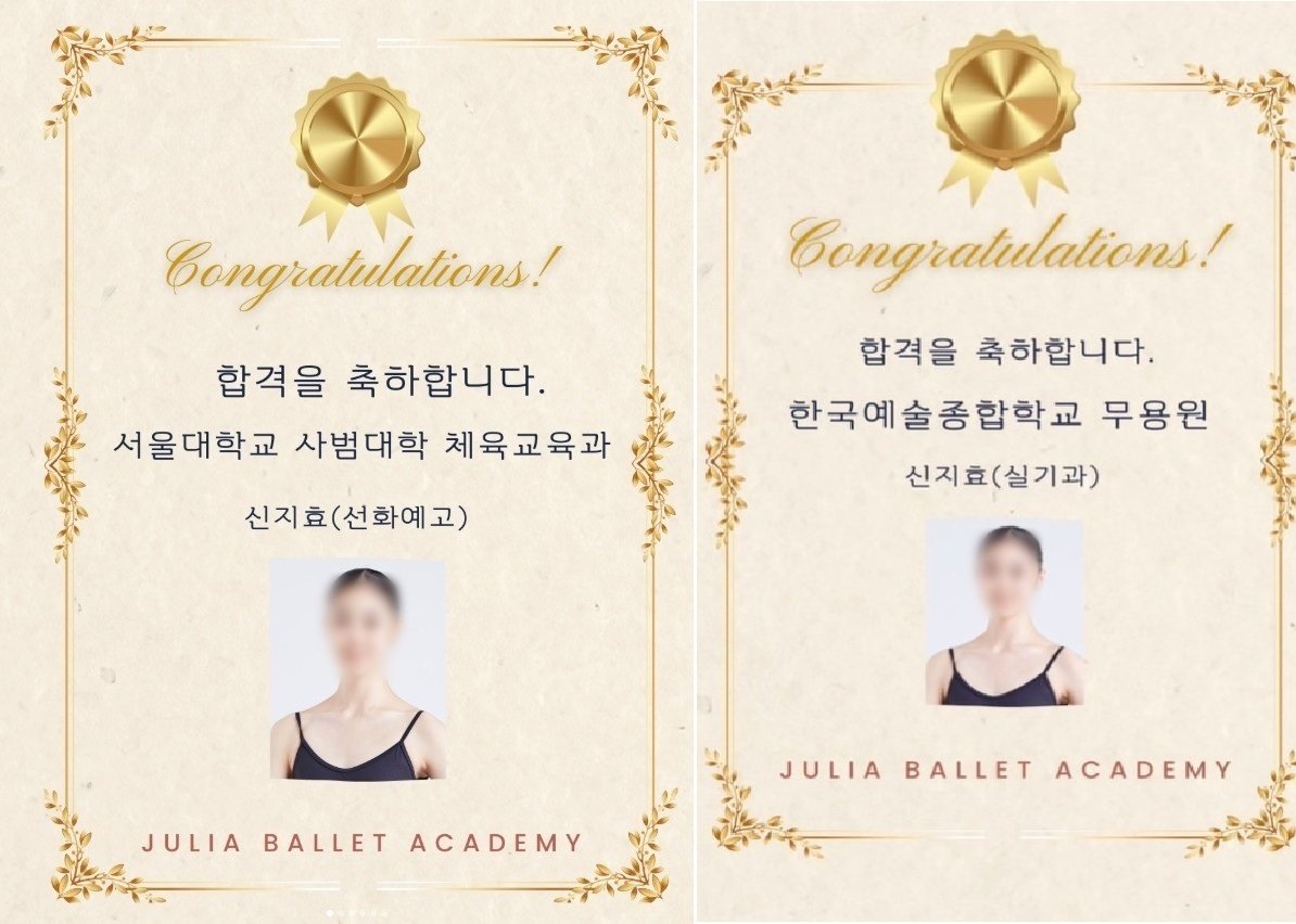 신지효 서울대·한예종 동시 합격 관련 보도 이미지