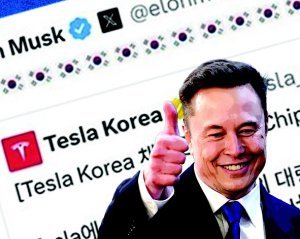 동아일보 칼럼 관련 이미지